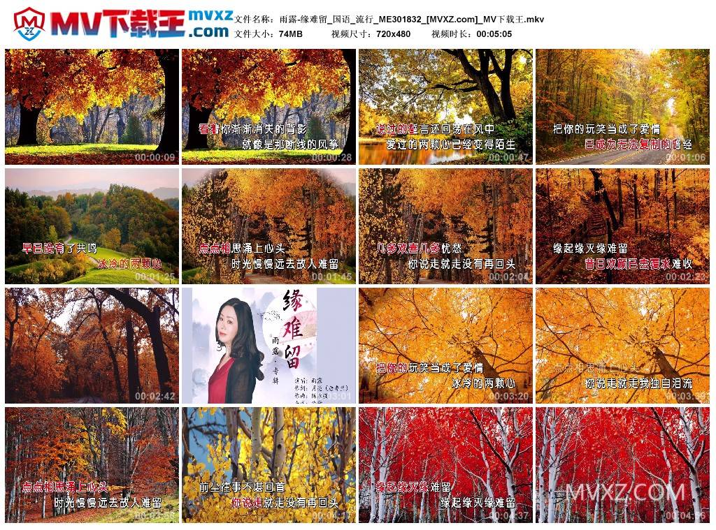 雨露-缘难留_国语_流行_ME301832